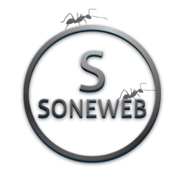 SONEWEB – WEB Y MARKETING DIGITAL