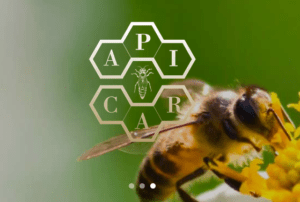 Apicar · Especialistas en alimento para abejas