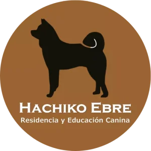 Hachiko Ebre