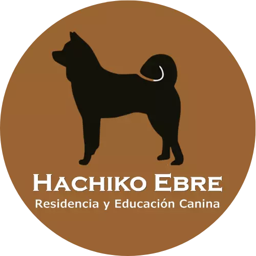 centrocaninoebre-hachikoebre