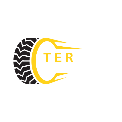 logo-neumaticos-ter