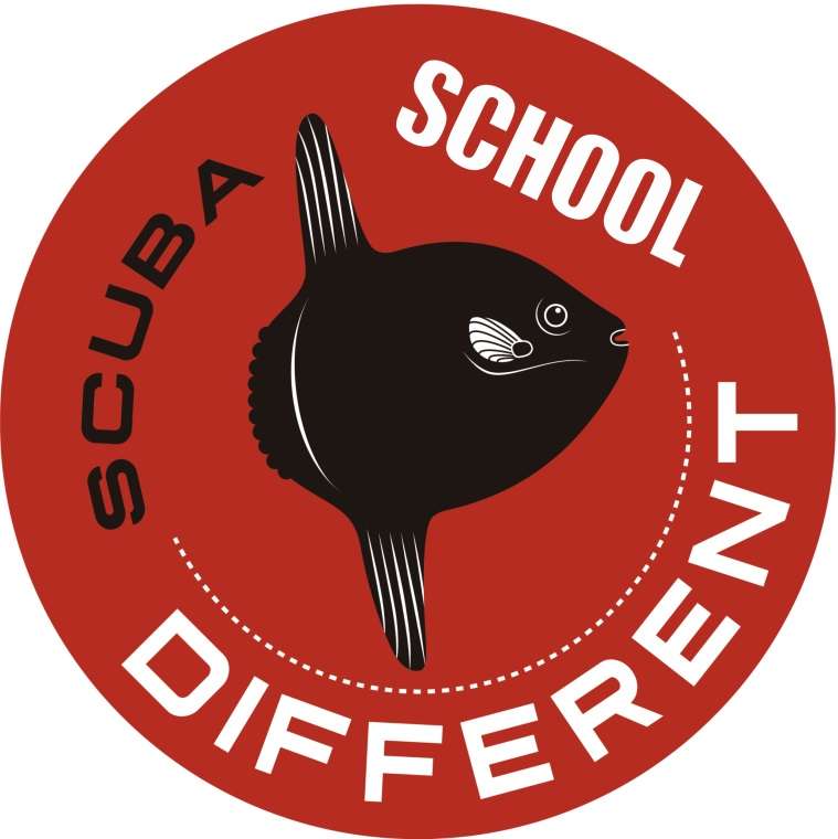 Logo-different-scuba-school