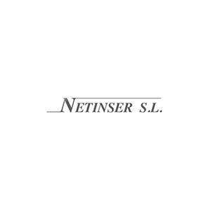 Logotipo-de-Netinser